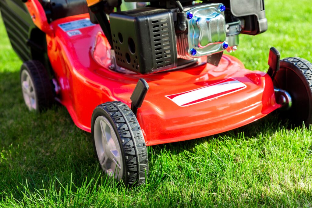 Grass Cutting, Wracking and Disposal of Rubbish